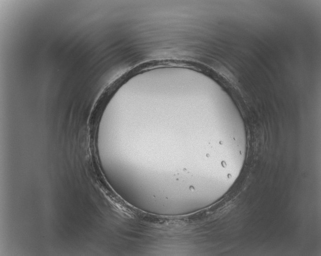 X0000059810974200511041649