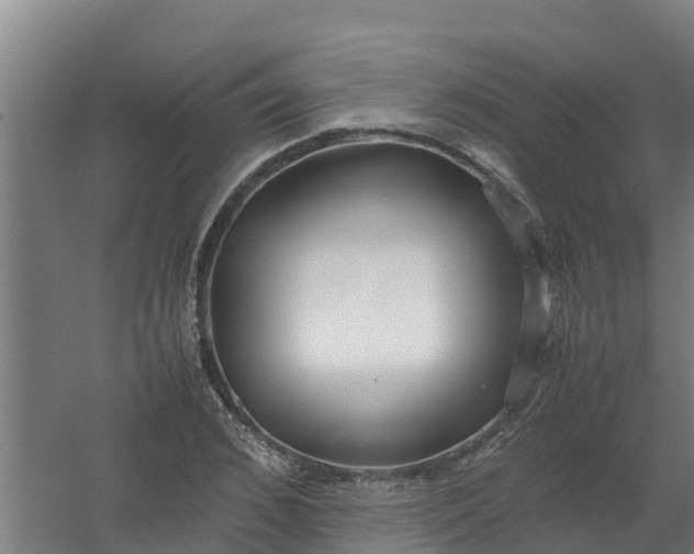 X0000059810976200511041649