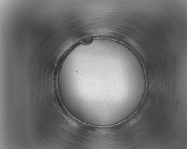 X0000059810978200511041649