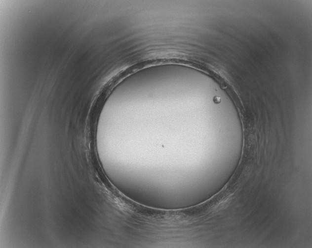 X0000059810979200511041649