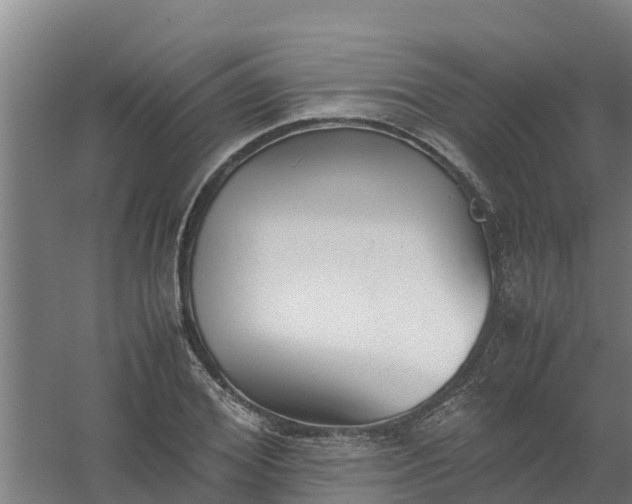 X0000059810980200511041649