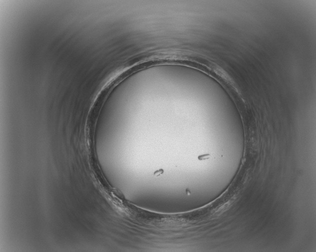 X0000059810981200511041649