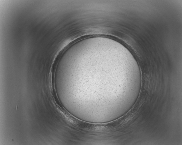 X0000059810982200511041649