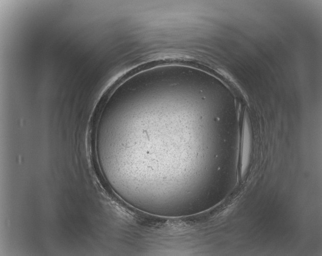 X0000059810983200511041649