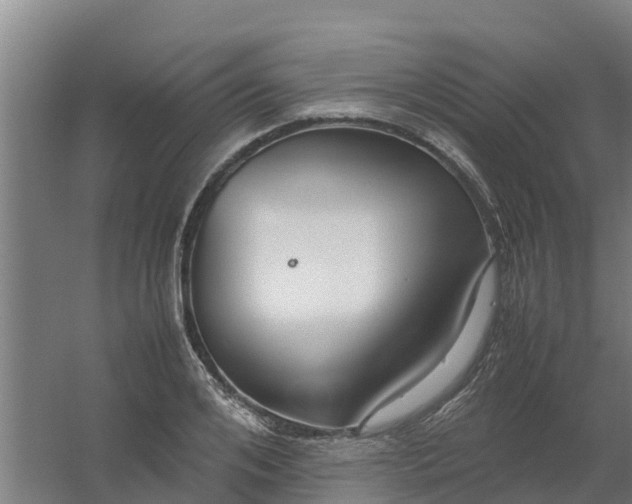 X0000059810984200511041649