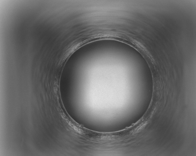 X0000059810985200511041649