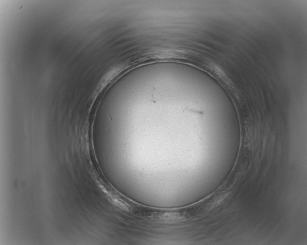 X0000059810986200511041649