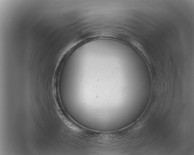 X0000059810987200511041649