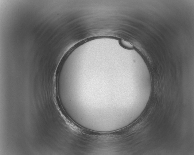 X0000059810988200511041649