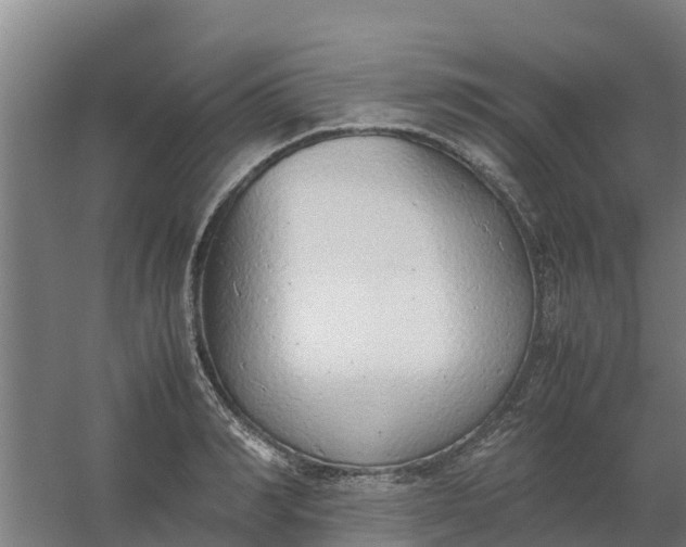 X0000059810990200511041649