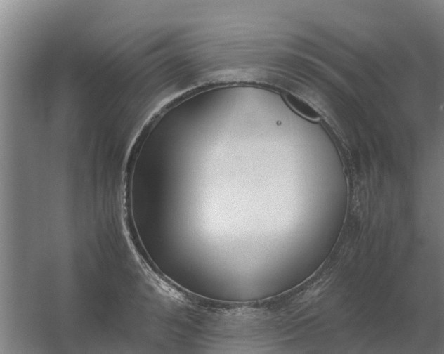 X0000059810992200511041649