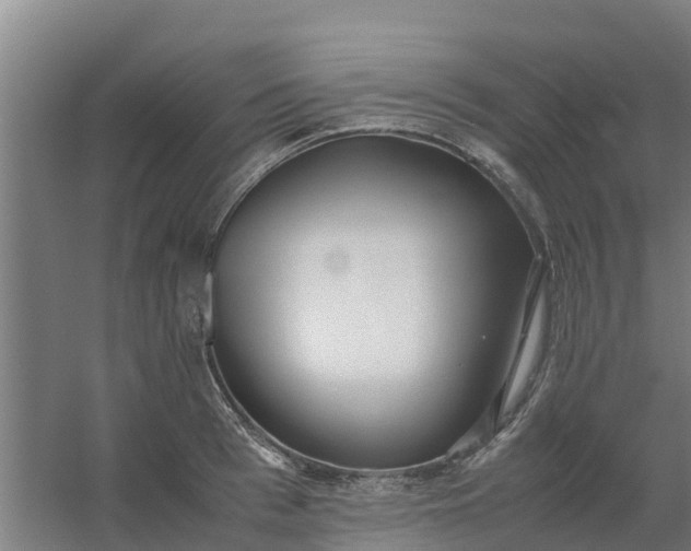 X0000059810993200511041649