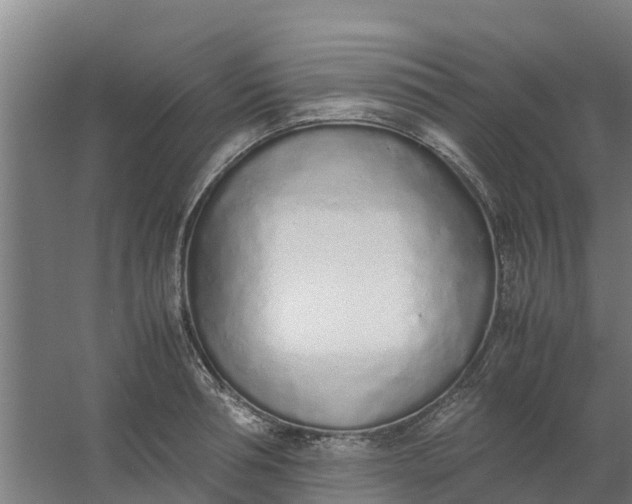 X0000059810994200511041649