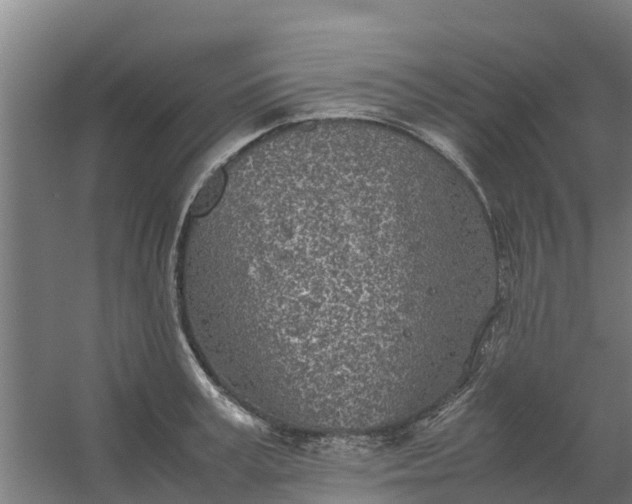 X0000059810995200511041649