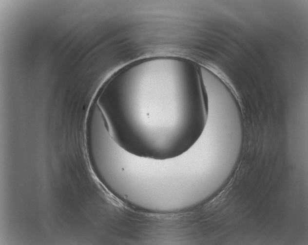 X0000059810996200511041649