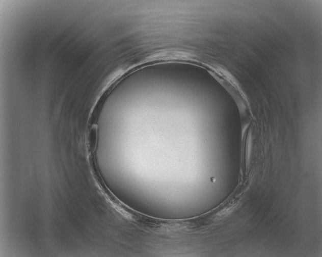 X0000059810997200511041649