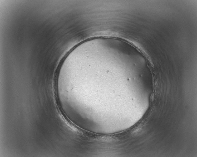 X0000059810998200511041649