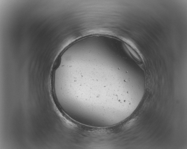 X0000059810999200511041649