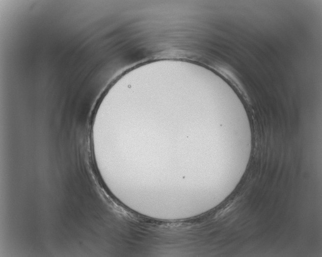 X0000059811000200511041649