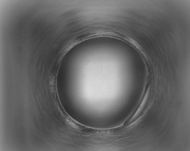 X0000059811001200511041649