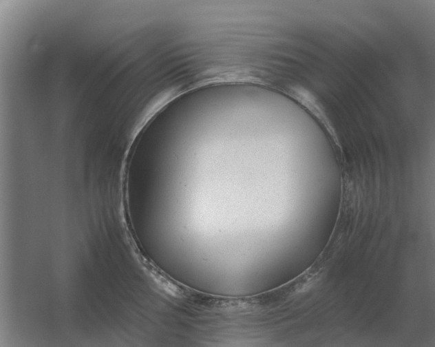 X0000059811002200511041649