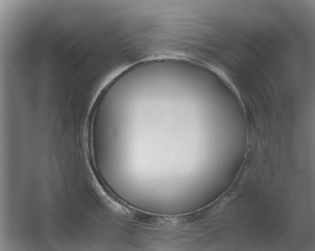 X0000059811003200511041649