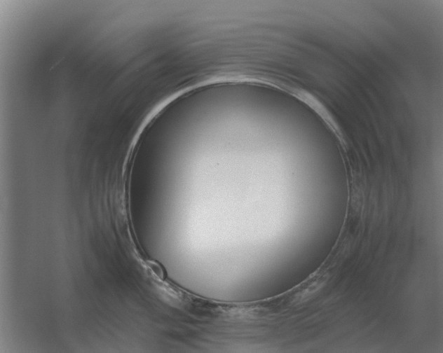 X0000059811004200511041648