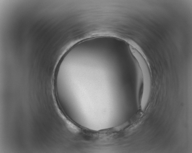 X0000059811005200511041648