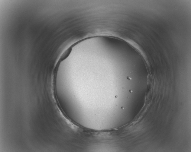 X0000059811006200511041648