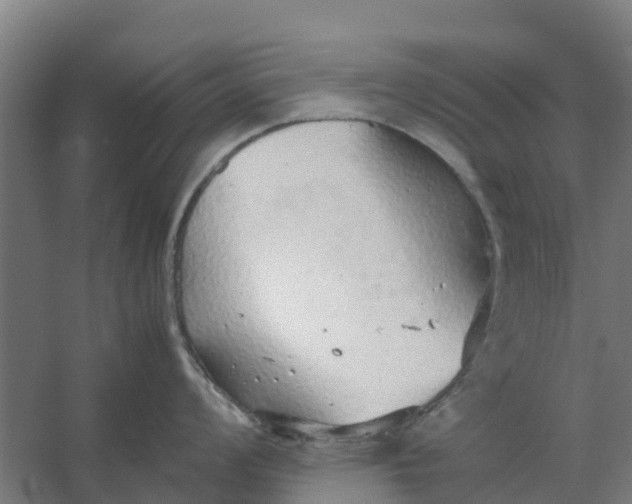 X0000059811008200511041648