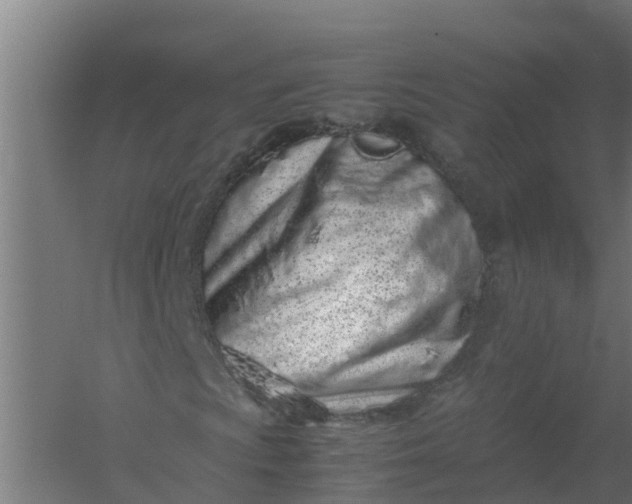 X0000059811009200511041648