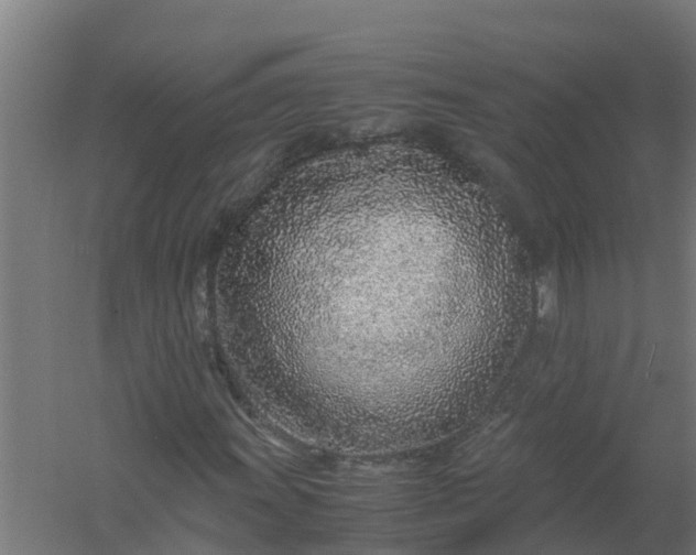 X0000059811011200511041648