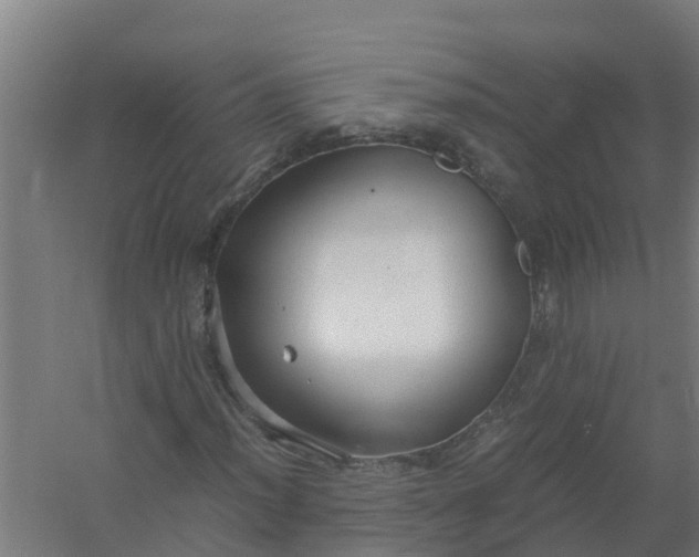 X0000059811012200511041648