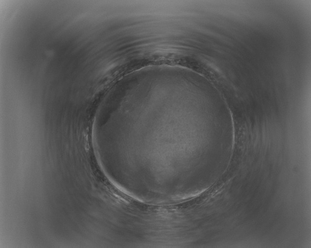 X0000059811013200511041648