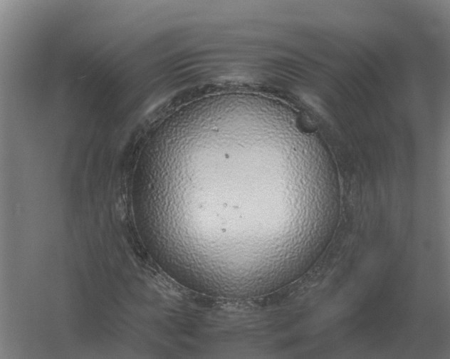 X0000059811015200511041648