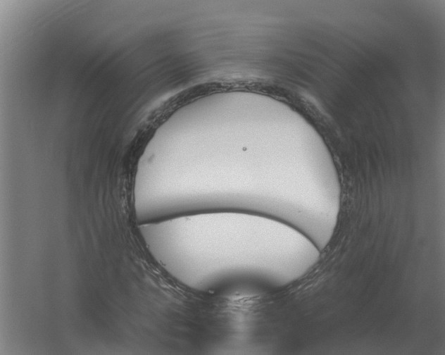 X0000059811016200511041648