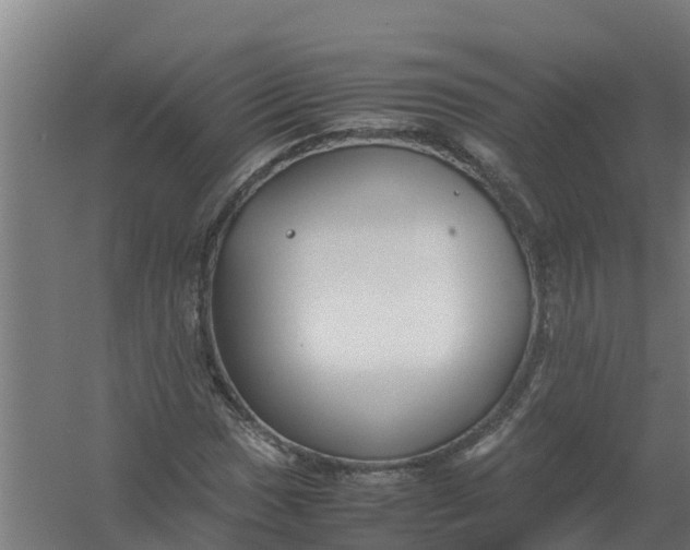 X0000059811017200511041648