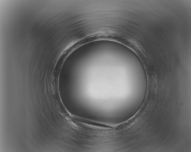 X0000059811018200511041648