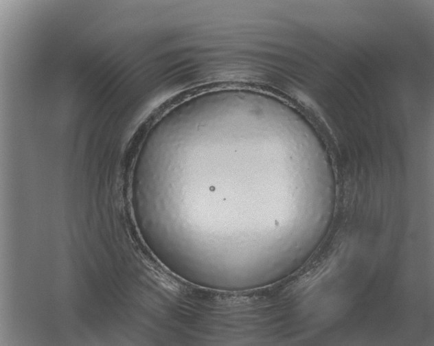 X0000059811019200511041648