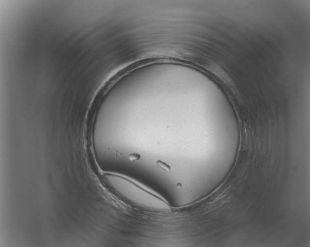 X0000059811020200511041648