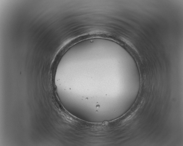 X0000059811021200511041648