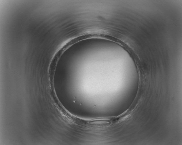 X0000059811022200511041648