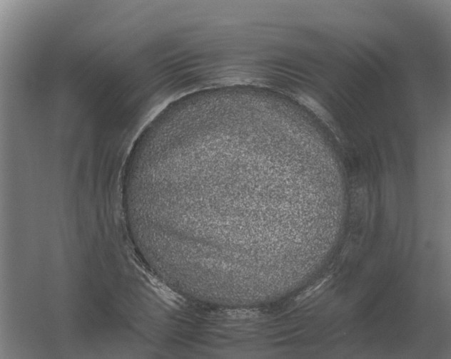 X0000059811023200511041648