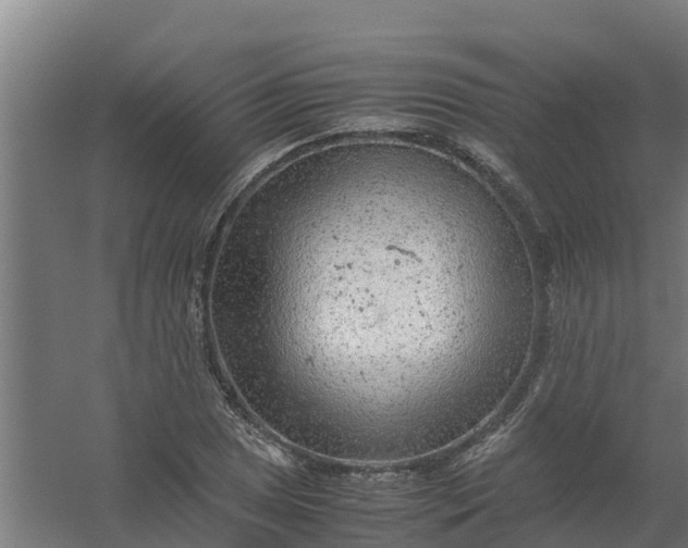 X0000059811025200511041648