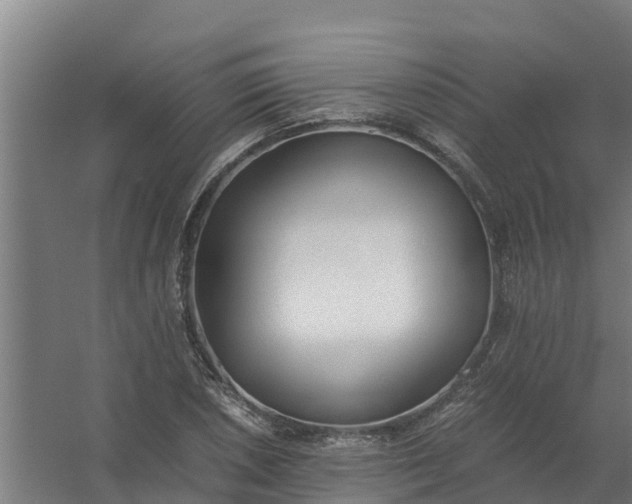 X0000059811026200511041648