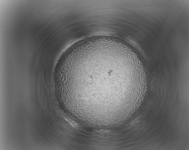 X0000059811027200511041648