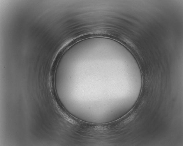 X0000059811029200511041648