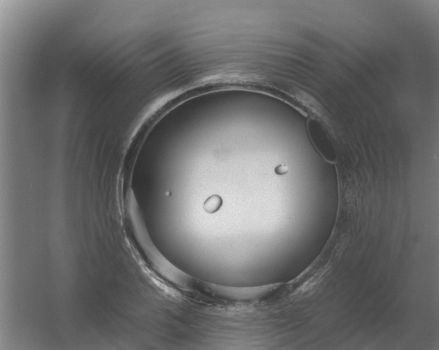 X0000059811030200511041648