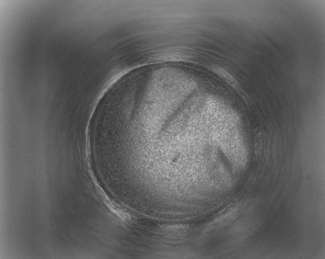 X0000059811031200511041648