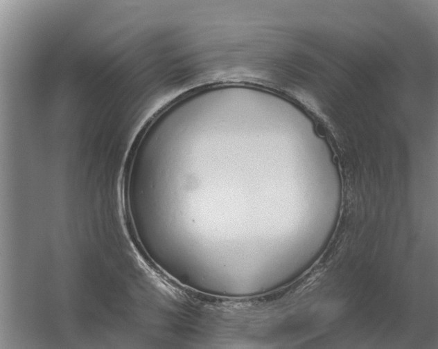 X0000059811032200511041648